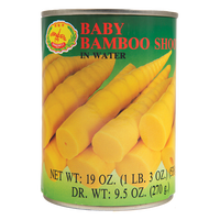 dragonfly BRAND 12140 DF BABY BAMBOO SHOOT(S)
