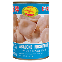 dragonfly BRAND 13140 DF ABALONE MUSHROOM