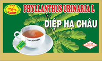 dragonfly BRAND 68209 DF PHYLLANTHUS URINARIAL TEA