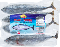dragonfly BRAND 71150 DF FZ BABY BONITO WR (150-250)