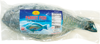 dragonfly BRAND 71160 DF FZ PARROT FISH WR (800UP)