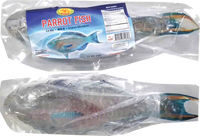 dragonfly BRAND 71161 DF FZ PARROT FISH WR (500/800)